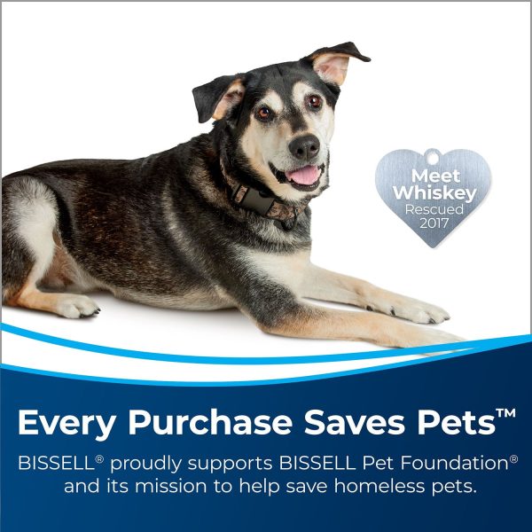 BISSELL TurboClean PowerBrush Pet Carpet Cleaner (2806) - Image 4