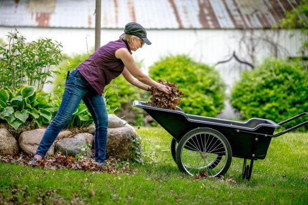 Polar Utility Cart - Image 9