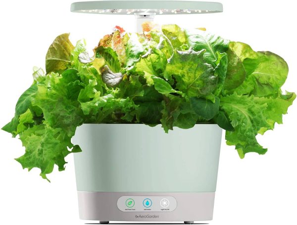 AeroGarden Harvest 360 â Indoor Garden with LED Grow Light, Round, Compact Design, White - Image 7