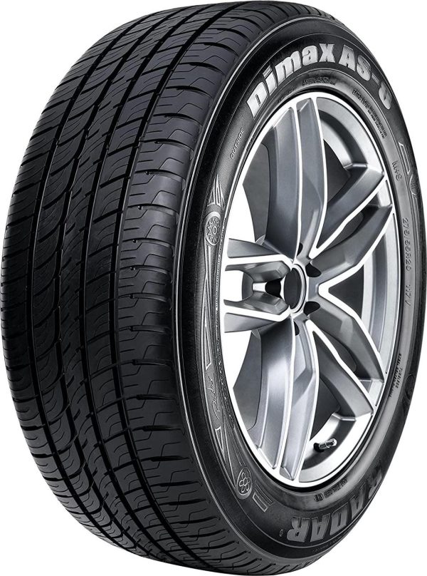 Radar Dimax AS-8 255/50R20 109V Passenger Tire