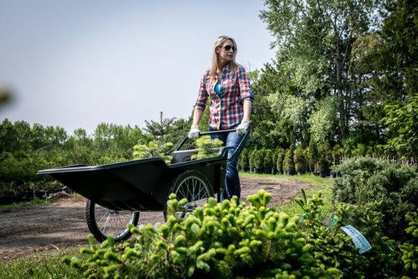 Polar Utility Cart - Image 7