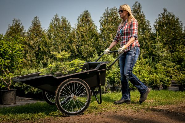 Polar Utility Cart - Image 8