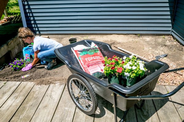 Polar Utility Cart - Image 5